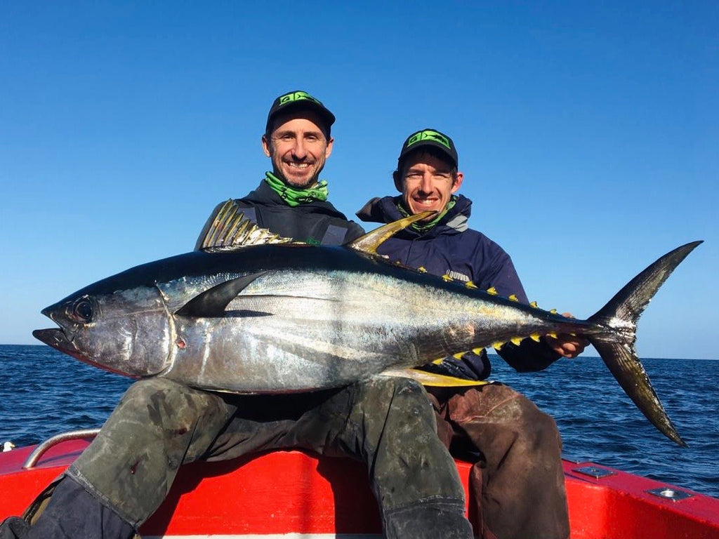 First Yellowfin Tuna of the 2020 pole season (Starts October)