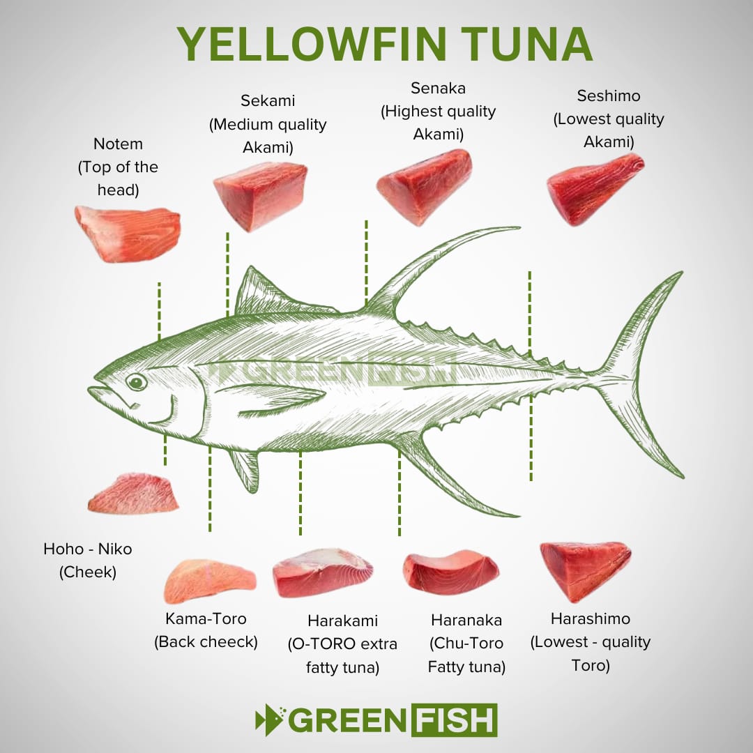 Unlocking the Flavour: Understanding Different Tuna Cuts – Greenfish