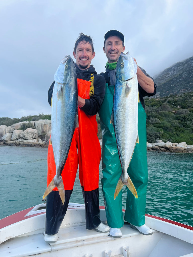Yellowtail Run off Cape Point for the record books, could it be linked to El Nino?