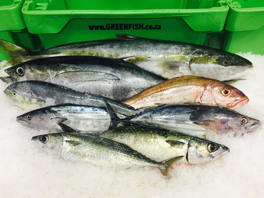 7 Reasons why Greenfish might become your favourite fish supplier in Cape Town