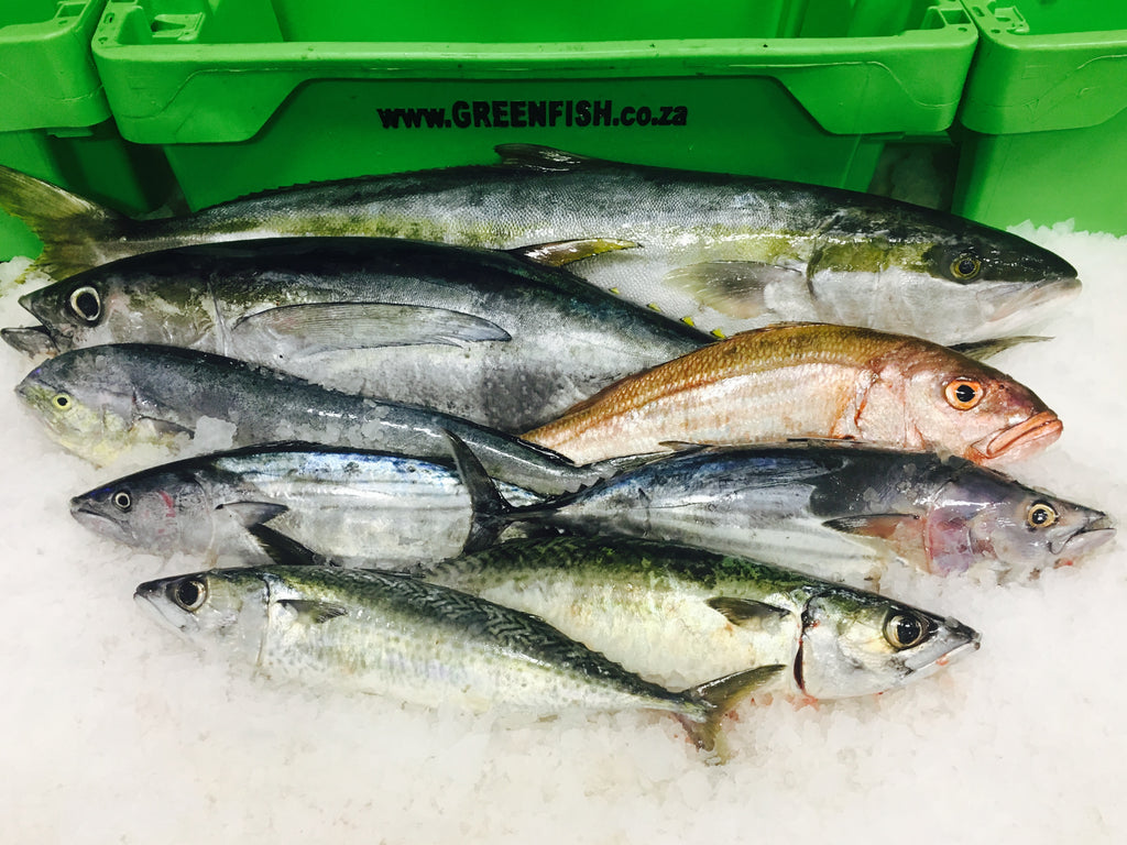 7 Reasons why Greenfish might become your favourite fish supplier in Cape Town