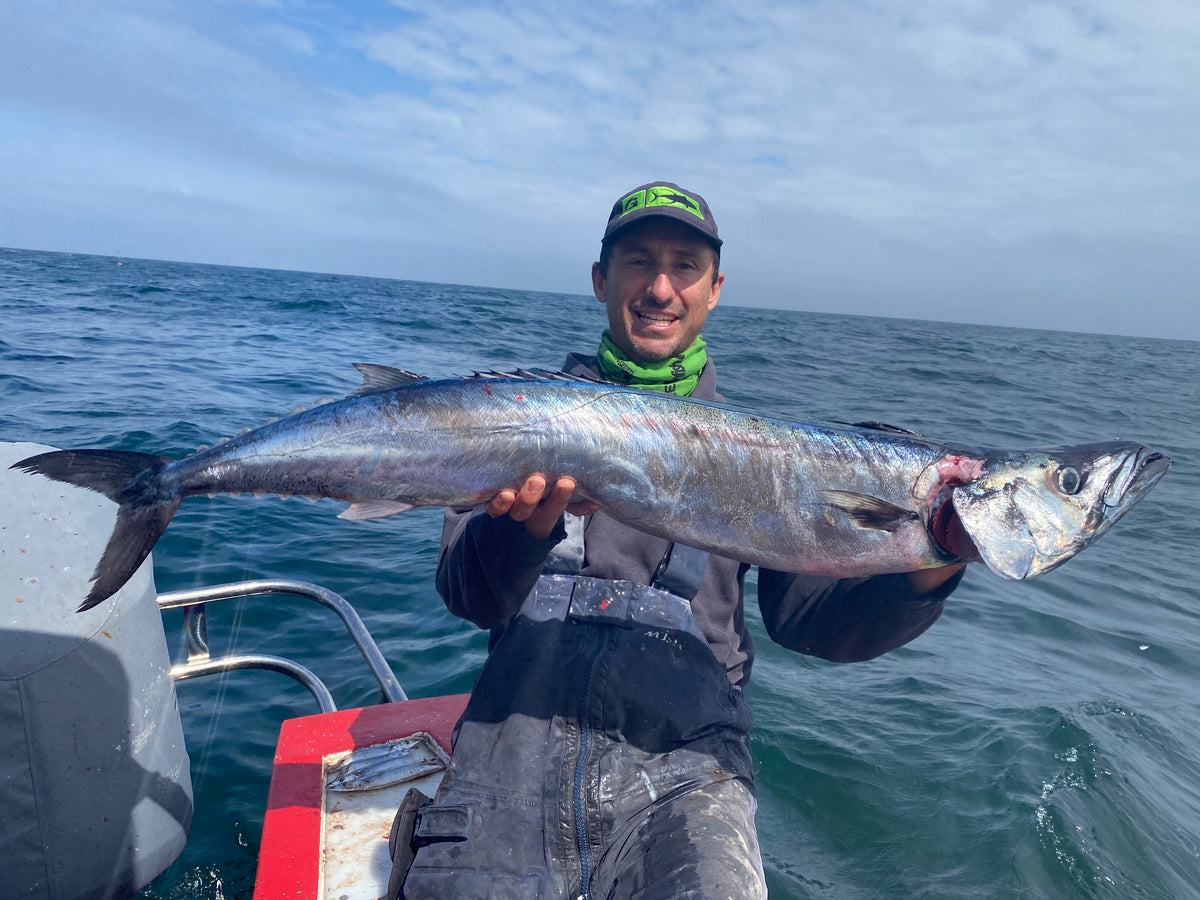 Snoek Blog – Greenfish