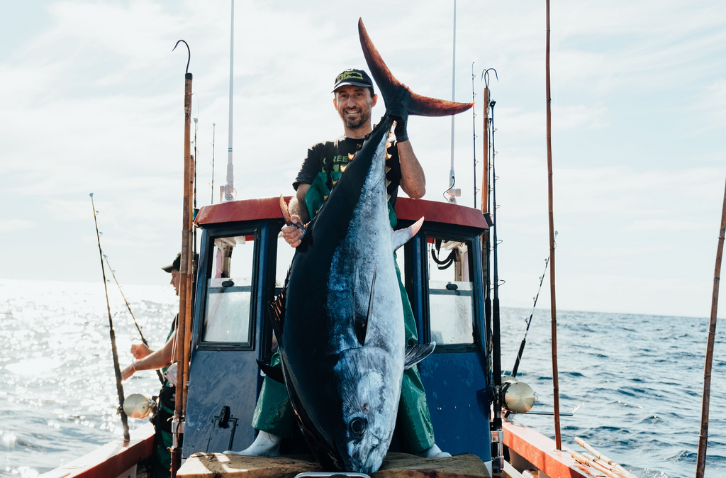 Bluefin Tuna in Cape Town