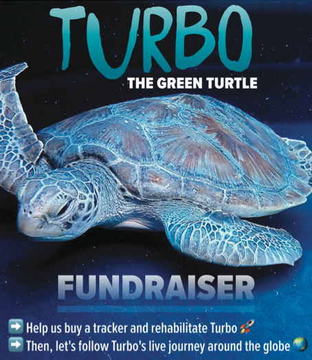 Turtle Power Unit Turtle Power – Greenfish
