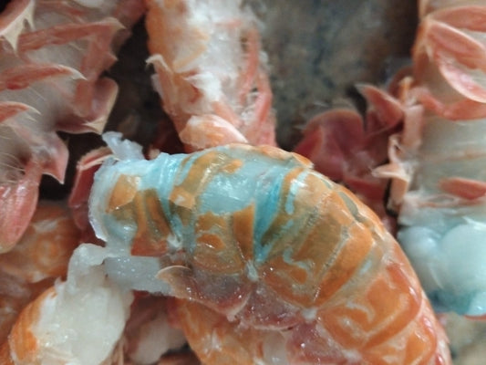 Why Do Langoustines Sometimes Turn Blue? (And Is It Safe to Eat?)