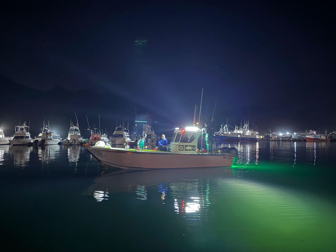 When the Ocean Moves: Why Cape Town's Tuna Fishing Feels Different This Year