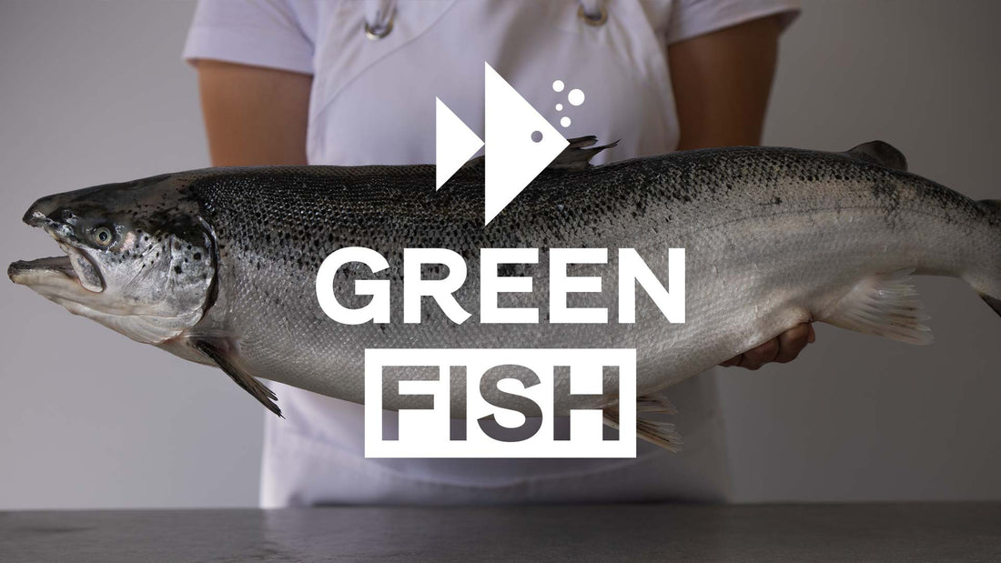 The first Organic Salmon in Africa