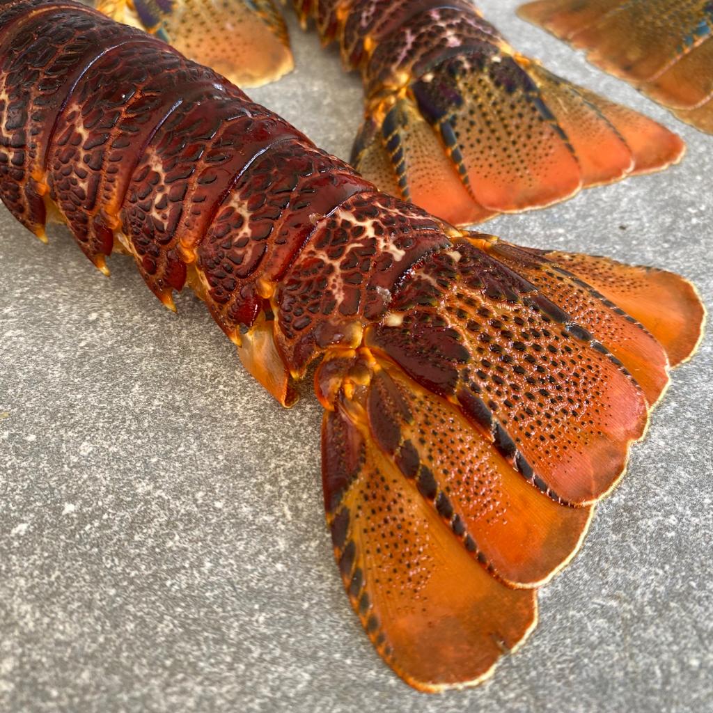 Crayfish Tails | Regular | Frozen Box | Wild Caught | x12