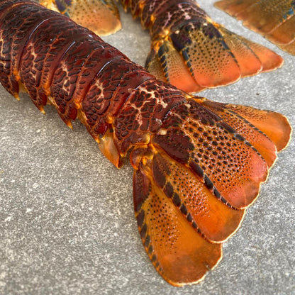 Crayfish Tails | Regular | Frozen Box | Wild Caught | x12