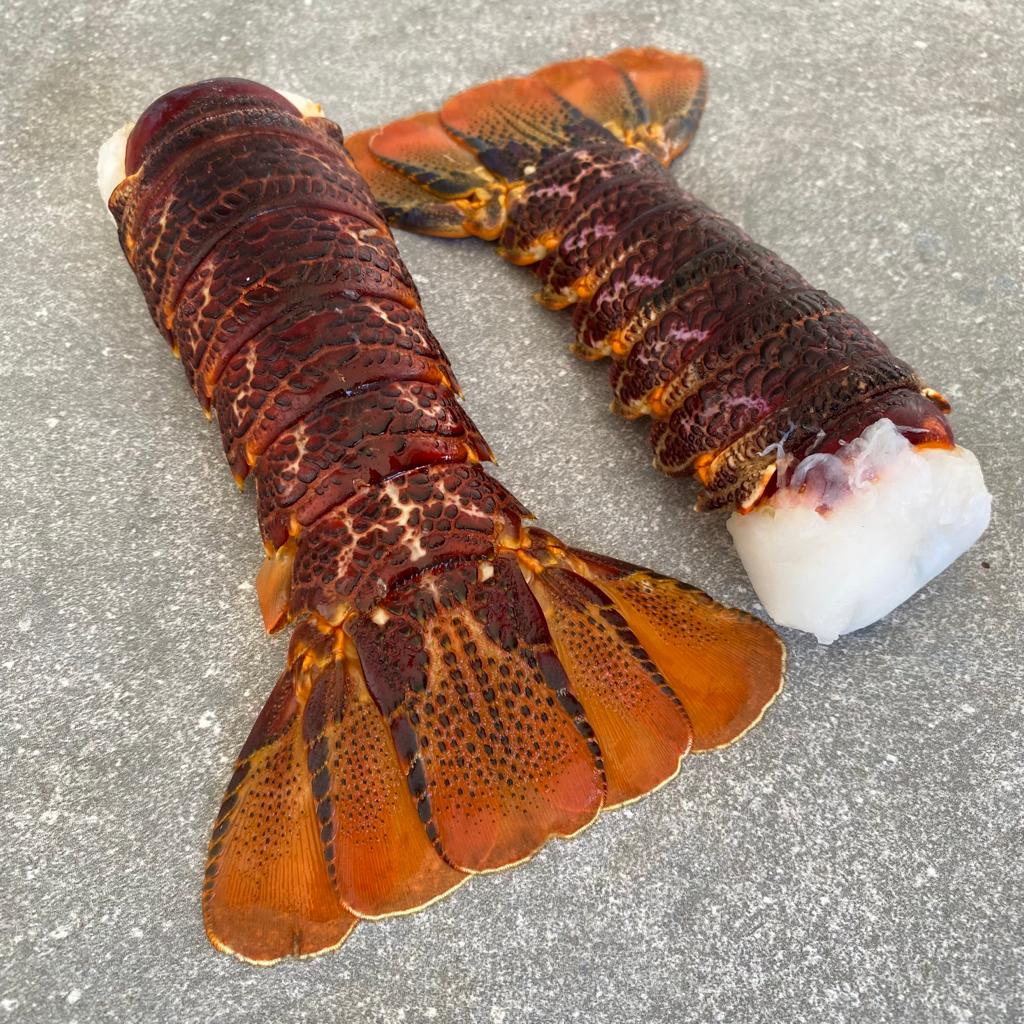 Crayfish Tails | Regular | Frozen Box | Wild Caught | x12