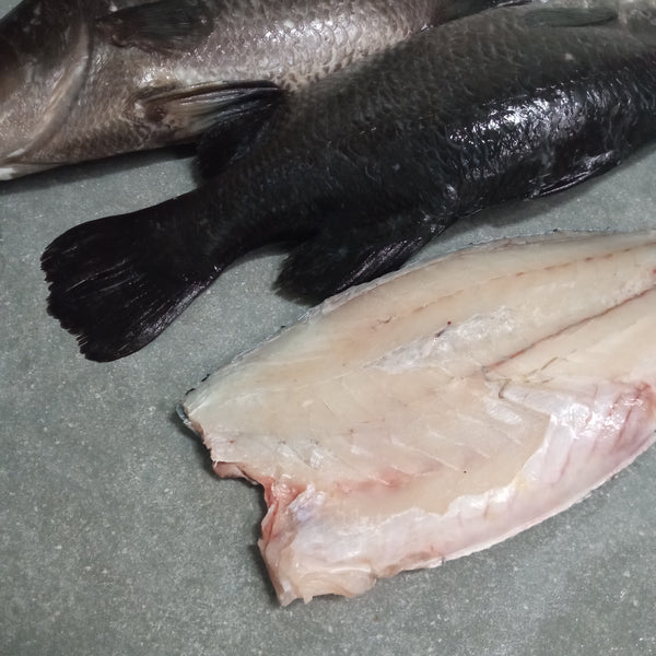 Sea Bass Fillets | Frozen Box | Cultivated | 4 x 400g – Greenfish