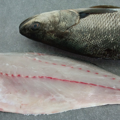 Kabeljou Fillets | Fresh Fish Box | Cultivated