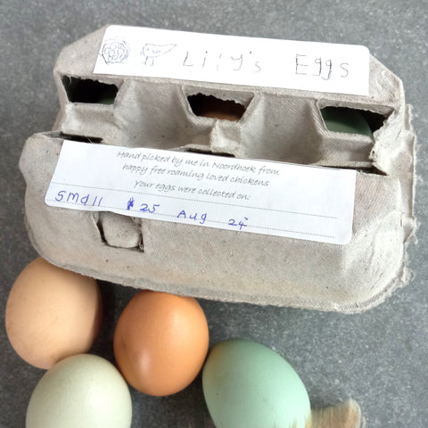 Lily's Free Range Chicken Eggs | Fresh box | 18x Small Fresh Eggs