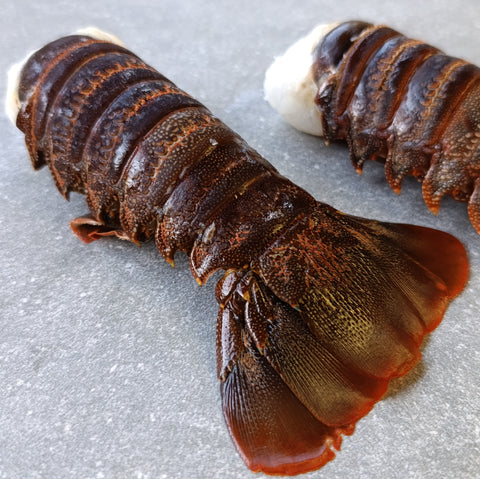 East Coast Spiny Lobster Tails | XXXX Large | Frozen Box | Wild Caught | x4