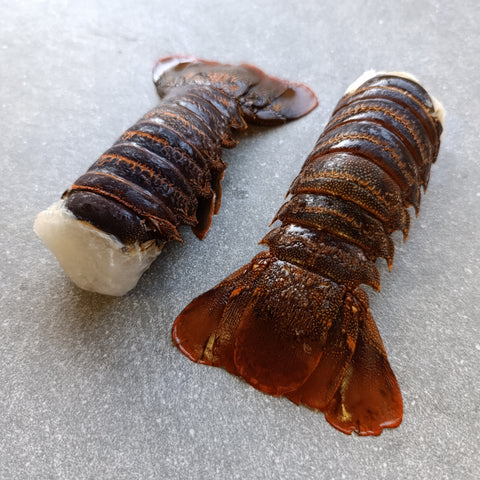 East Coast Crayfish Tails | Extra Large | Frozen Box | Wild Caught | x8