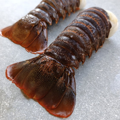 East Coast Spiny Lobster Tails | XXX Large | Frozen Box | Wild Caught | x6
