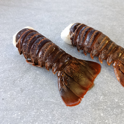 East Coast Crayfish Tails | XX Large | Frozen Box | Wild Caught | x6