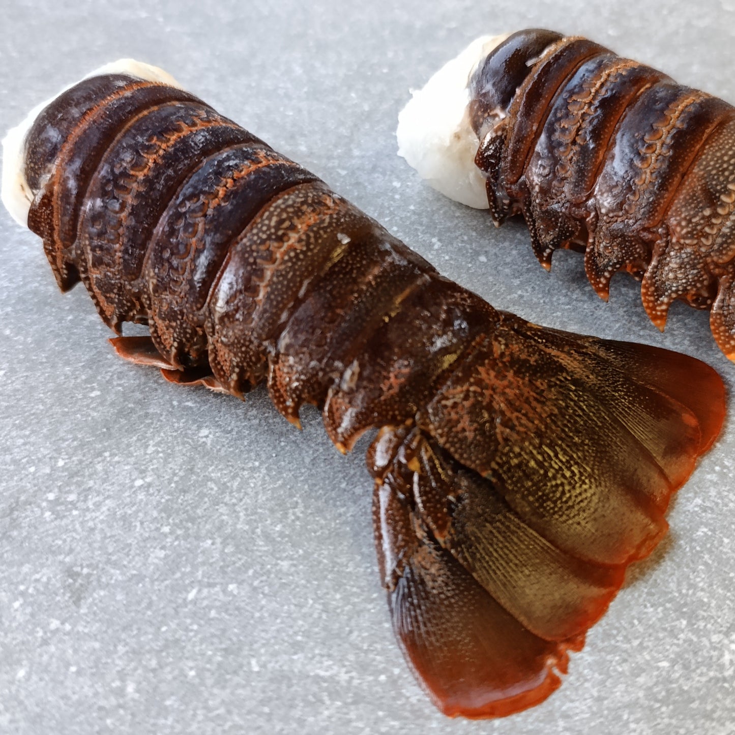 East Coast Spiny Lobster Tails | XXXXX Large | Frozen Box | Wild Caught | x2
