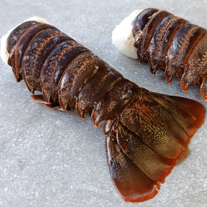 East Coast Spiny Lobster Tails | XXXXX Large | Frozen Box | Wild Caught | x2