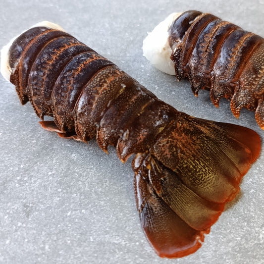 East Coast Spiny Lobster Tails | XXXXX Large | Frozen Box | Wild Caught | x2