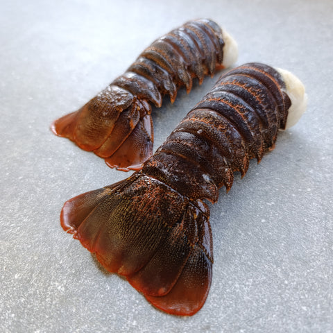 East Coast Spiny Lobster Tails | Large | Frozen Box | Wild Caught | x10