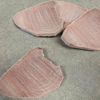Searing Tuna Steaks |  Frozen Box | Wild Caught | 800g