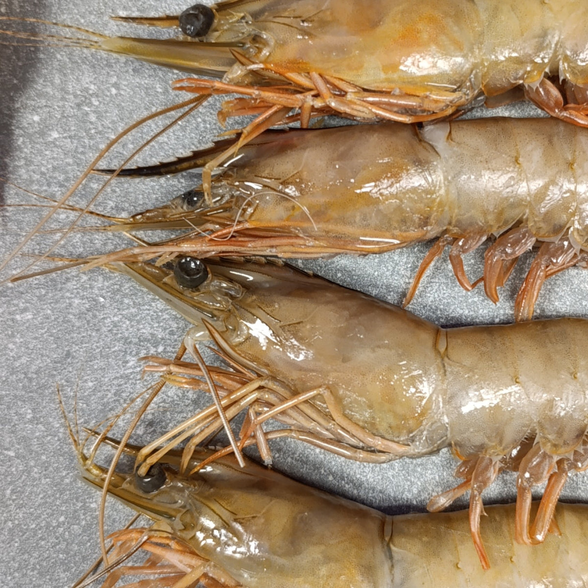 LM Prawns | Frozen Box | Wild caught | 2kg