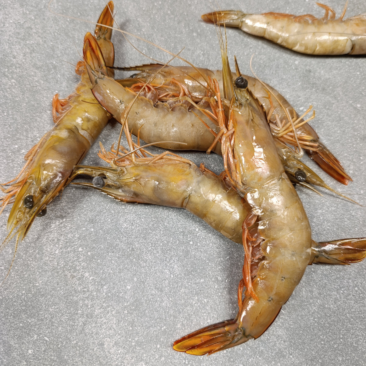 LM Prawns | Frozen Box | Wild caught | 2kg