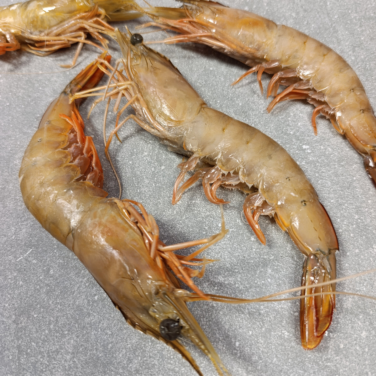 LM Prawns | Frozen Box | Wild caught | 2kg
