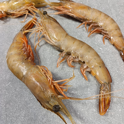 LM Prawns | Frozen Box | Wild caught | 2kg