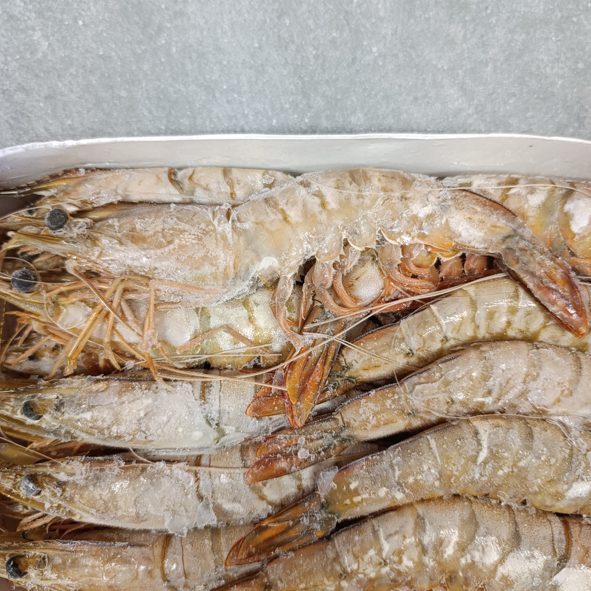LM Prawns | Frozen Box | Wild caught | 2kg