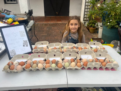Lily's Free Range Chicken Eggs | Fresh box | 18x Medium Fresh Eggs