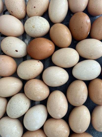 Lily's Free Range Chicken Eggs | Fresh box | 18x Small Fresh Eggs