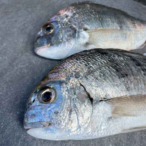 White Stumpnose | Fresh Fish Box | Caught in Table Bay | Wild Caught