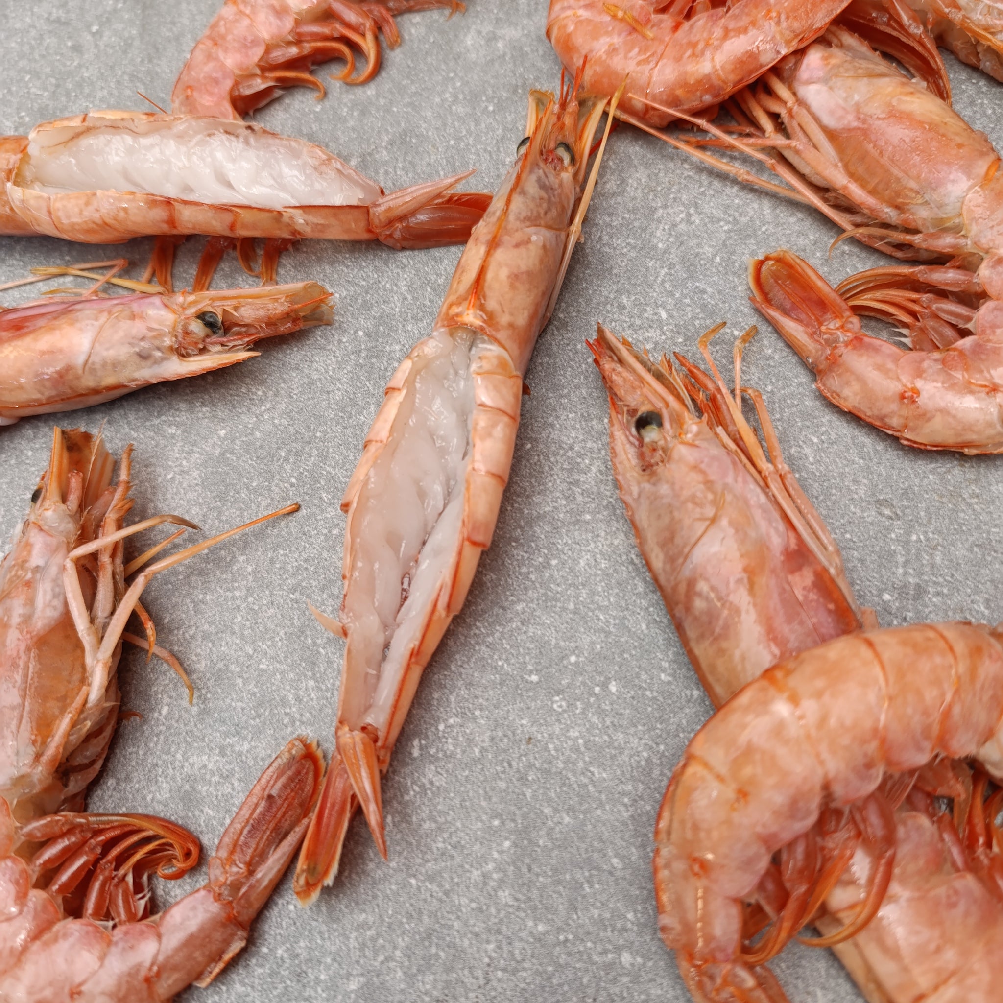 Premium Butterflied King Prawns | Frozen Box | Wild caught | 12x | 600g+