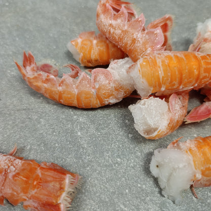 Langoustine Tail Box | Medium | 400g | Frozen Box | Caught off Durban