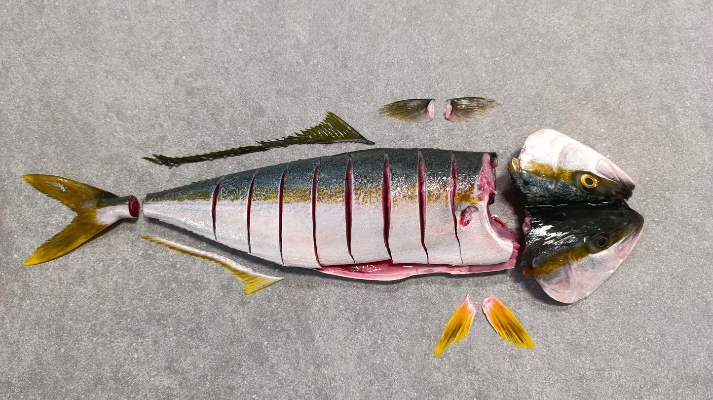 Sliced Yellowtail for Pickled Fish | Fresh box | Caught in Struisbaai | 1.4kg