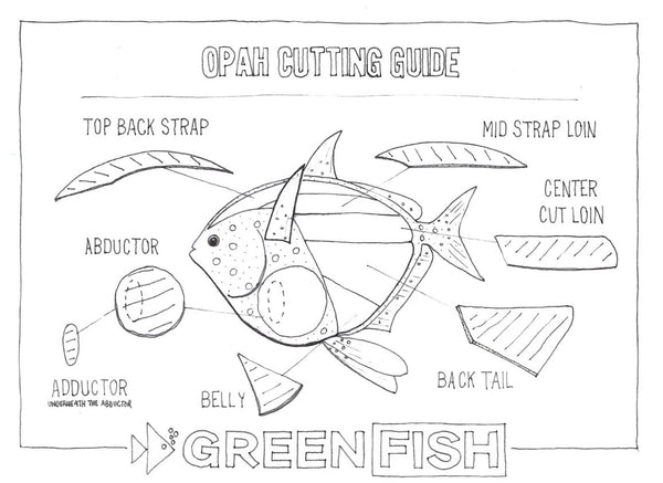 Moonfish | Portion Frozen Box | Premium Portion Range | 4 x 200g