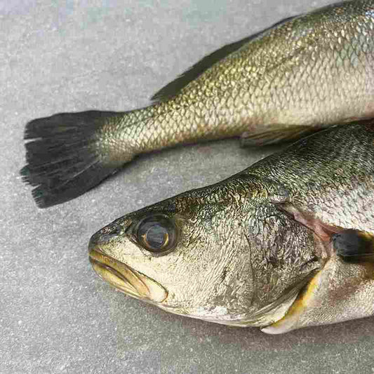 Kabeljou Fillets | Fresh Fish Box | Cultivated