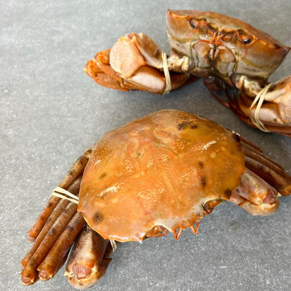 Namibian Orange Crab | Frozen box | Wild caught | x4