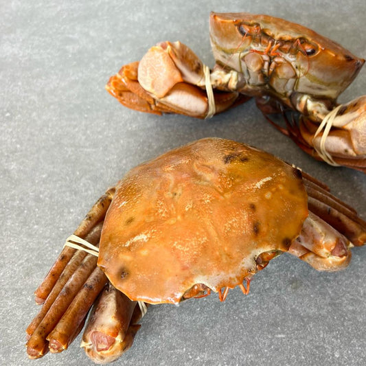 Namibian Orange Crab | Frozen box | Wild caught | x4