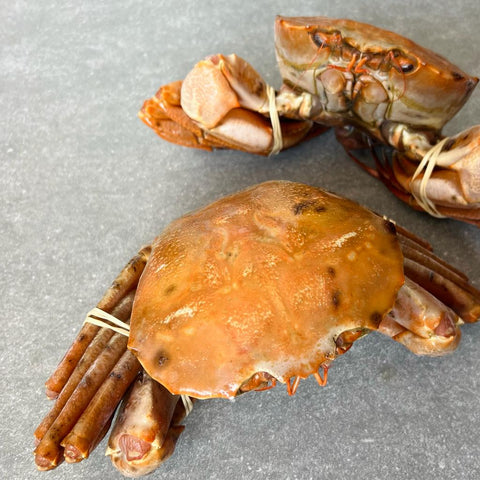 Namibian Orange Crab | Frozen box | Wild caught | x4