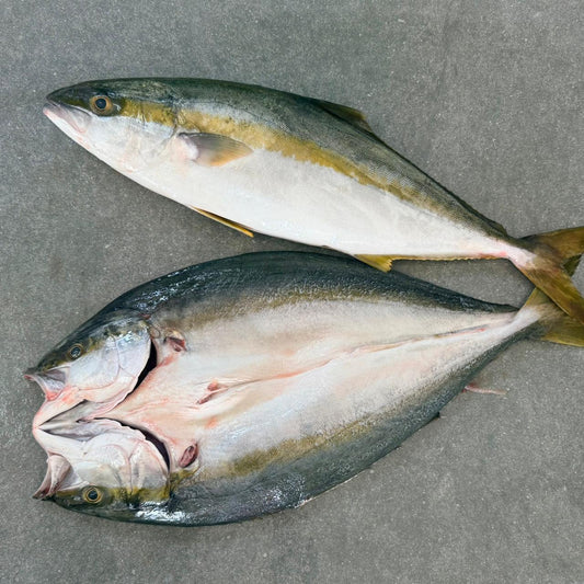 Yellowtail Butterfly | Braai | Fresh Fish Box | Wild caught | 1.4kg