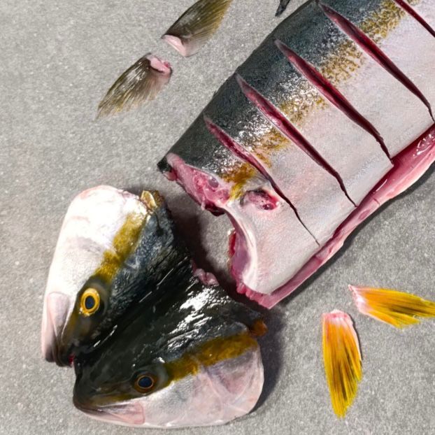Sliced Yellowtail for Pickled Fish | Fresh box | Caught in Struisbaai | 1.4kg