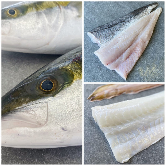 Cape Classic Trio | Frozen Fish Box | Wild caught