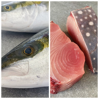 Fresh Moonfish Steaks (2x 400g) &  Frozen Yellowtail Fillets (2x 700g) | Fish Box | Wild caught
