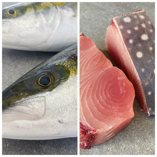 Fresh Moonfish Steaks (2x 400g) &  Frozen Yellowtail Fillets (2x 700g) | Fish Box | Wild caught