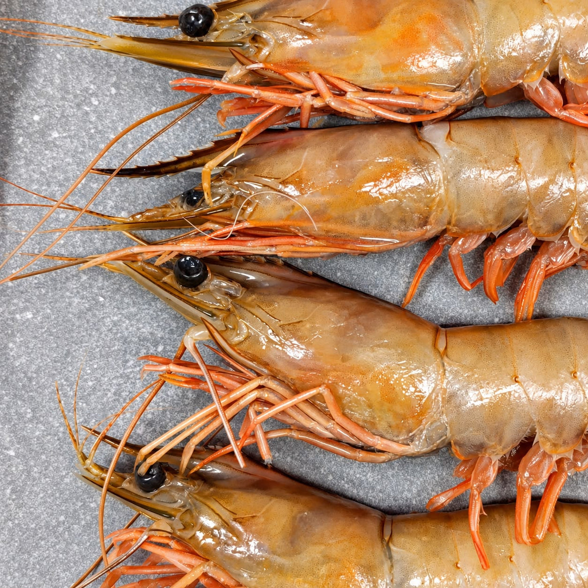 LM White Prawns | Frozen Box | Wild caught | 2kg