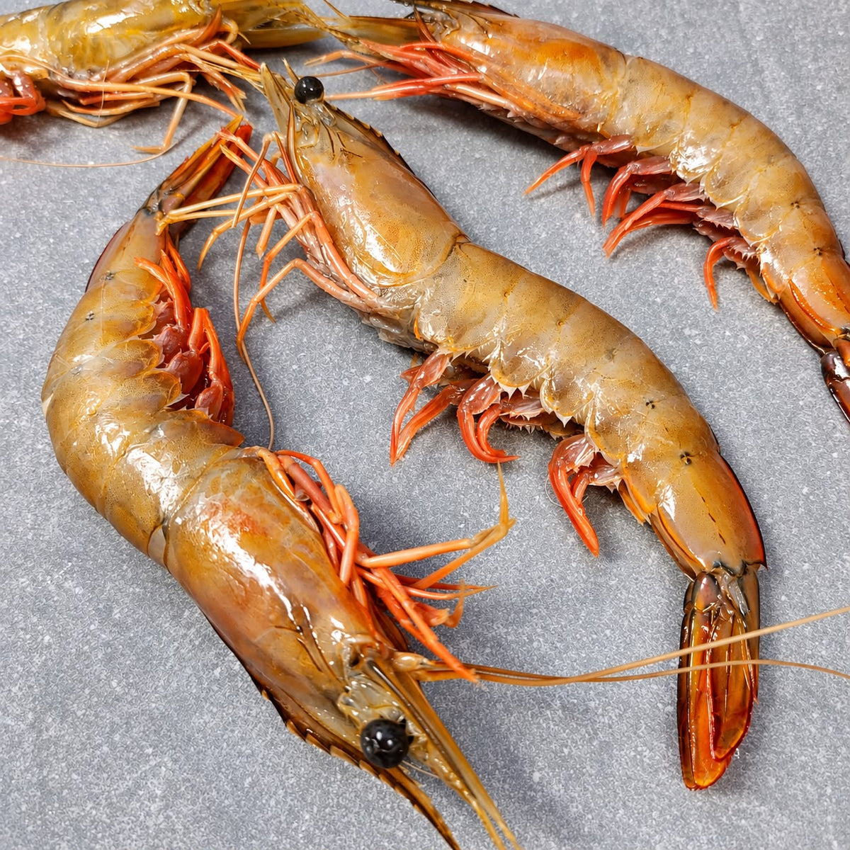 LM White Prawns | Frozen Box | Wild caught | 2kg