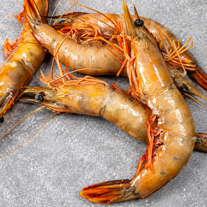 LM White Prawns | Frozen Box | Wild caught | 2kg